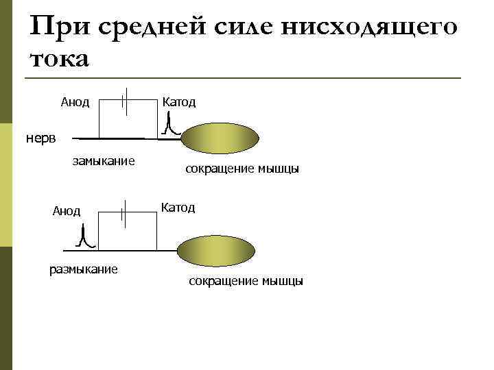 При средней силе нисходящего тока  Анод   Катод нерв   замыкание