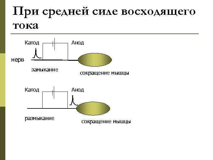 При средней силе восходящего тока  Катод   Анод  нерв  