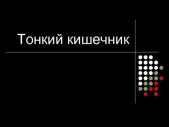 Тонкий кишечник 