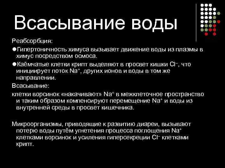Всасывание воды Реабсорбция: l. Гипертоничность химуса вызывает движение воды из плазмы в  химус