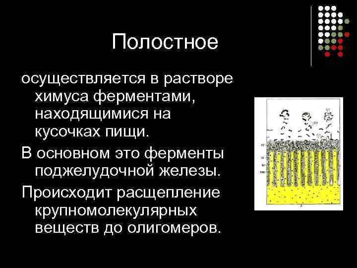    Полостное осуществляется в растворе  химуса ферментами, находящимися на  кусочках
