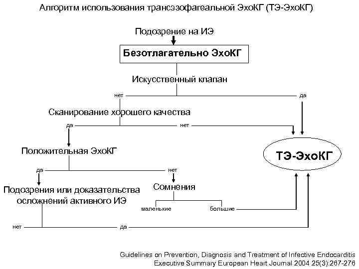   Алгоритм использования трансэзофагеальной Эхо. КГ (ТЭ-Эхо. КГ)     