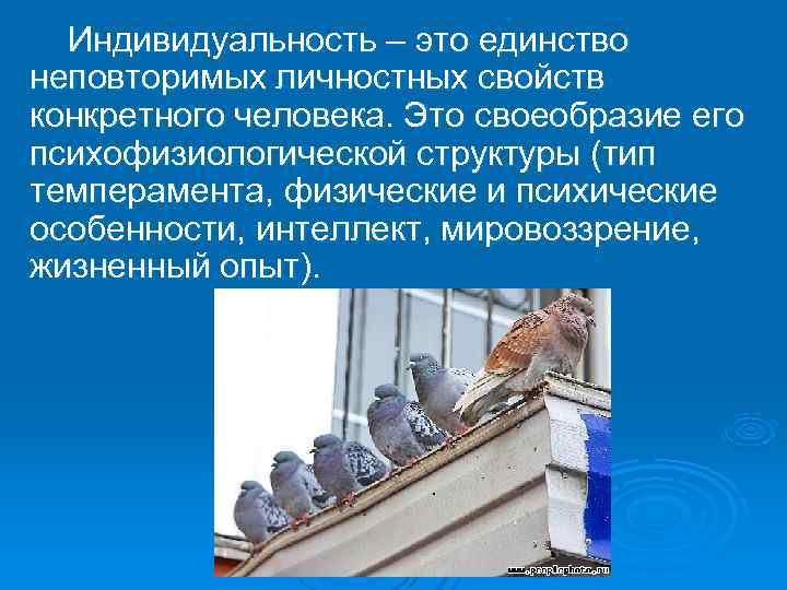  Индивидуальность – это единство неповторимых личностных свойств конкретного человека. Это своеобразие его психофизиологической