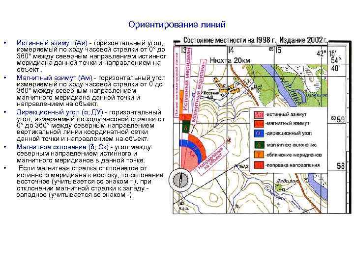 Линия ориентации