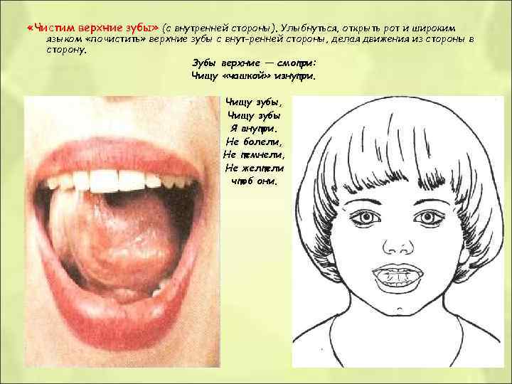 «Чистим верхние зубы» (с внутренней стороны). Улыбнуться, открыть рот и широким языком «Чистим верхние зубы» (с внутренней стороны). Улыбнуться, открыть рот и широким языком