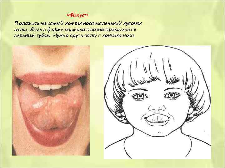 «Фокус» Положить на самый кончик носа маленький кусочек ватки. Язык «Фокус» Положить на самый кончик носа маленький кусочек ватки. Язык