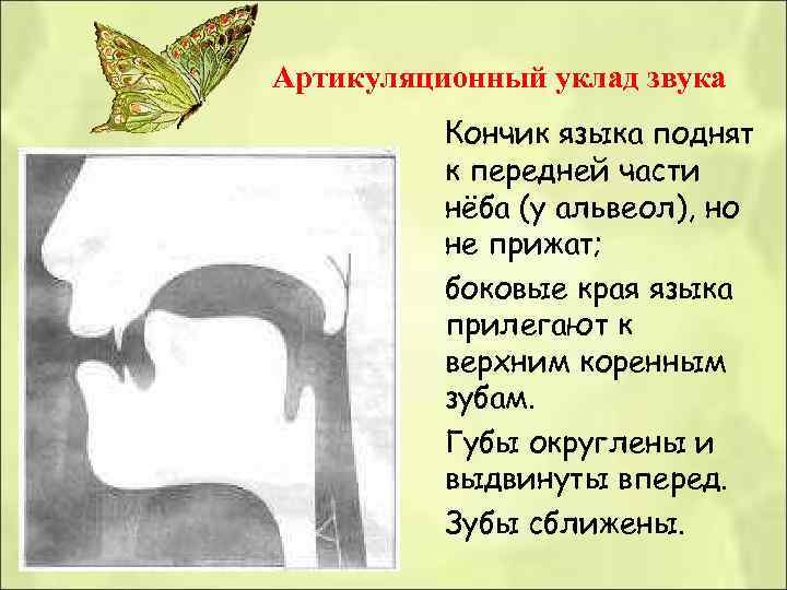 Артикуляционный уклад звука Кончик языка поднят к передней части нёба (у Артикуляционный уклад звука Кончик языка поднят к передней части нёба (у