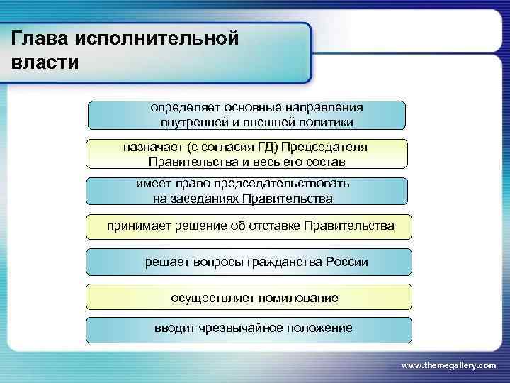 Глава исполнительной власти   определяет основные направления    внутренней и внешней