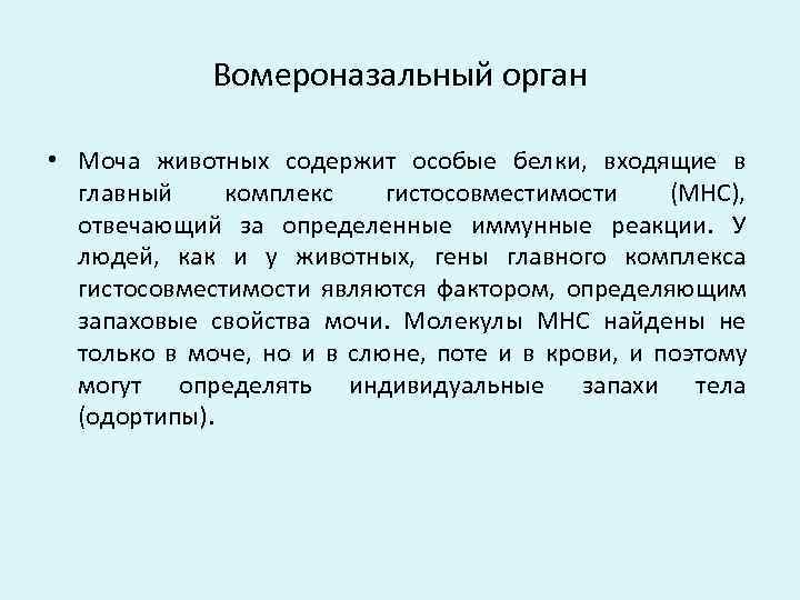     Вомероназальный орган  • Моча животных содержит особые белки, 