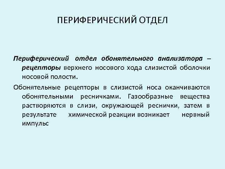   ПЕРИФЕРИЧЕСКИЙ ОТДЕЛ  Периферический отдел обонятельного анализатора –  рецепторы верхнего носового