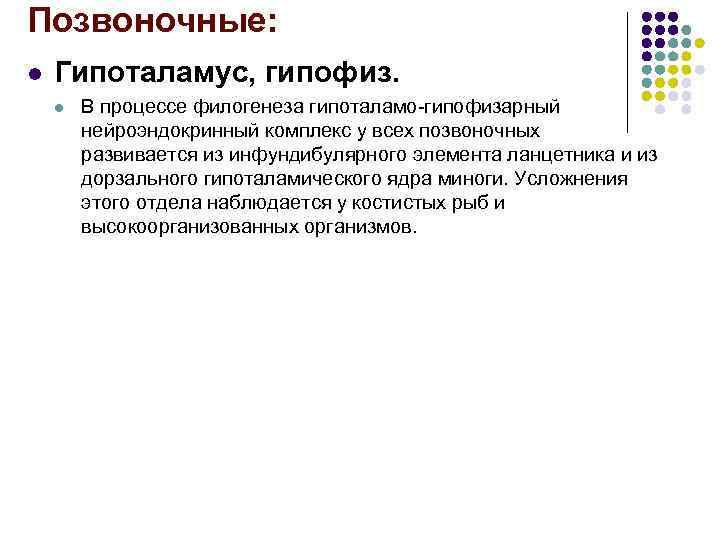 Позвоночные: l Гипоталамус, гипофиз. l В процессе филогенеза гипоталамо-гипофизарный нейроэндокринный Позвоночные: l Гипоталамус, гипофиз. l В процессе филогенеза гипоталамо-гипофизарный нейроэндокринный