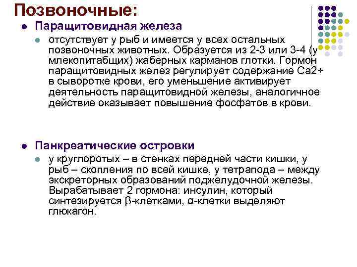 Позвоночные: l Паращитовидная железа l отсутствует у рыб и имеется у всех Позвоночные: l Паращитовидная железа l отсутствует у рыб и имеется у всех