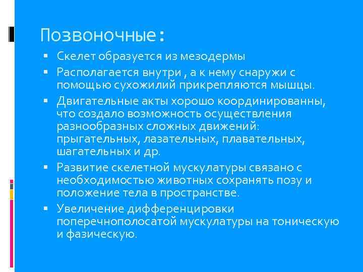 Позвоночные:  Скелет образуется из мезодермы  Располагается внутри , а к нему снаружи