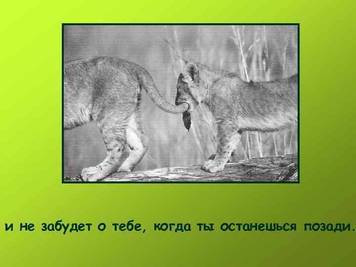 и не забудет о тебе, когда ты останешься позади. 