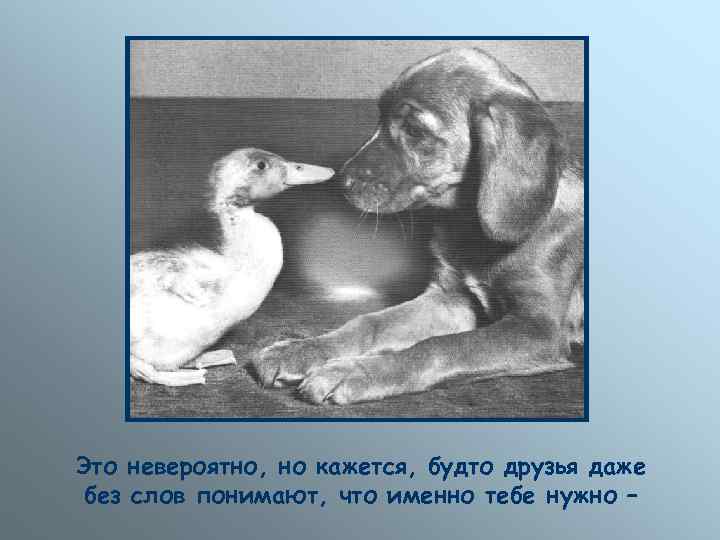 Это невероятно, но кажется, будто друзья даже без слов понимают, что именно тебе нужно