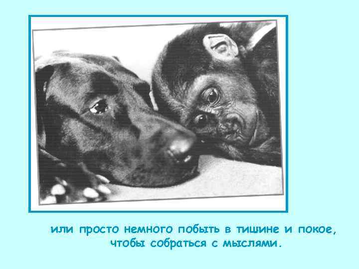 или просто немного побыть в тишине и покое,  чтобы собраться с мыслями. 