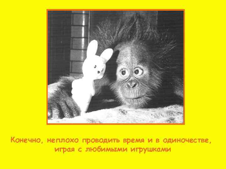 Конечно, неплохо проводить время и в одиночестве,   играя с любимыми игрушками 