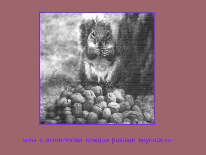 или с аппетитом поедая разные вкусности. 