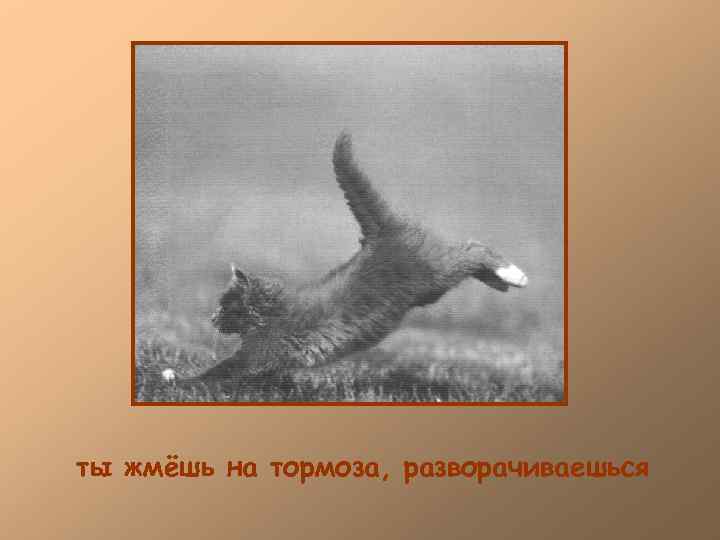 ты жмёшь на тормоза, разворачиваешься 