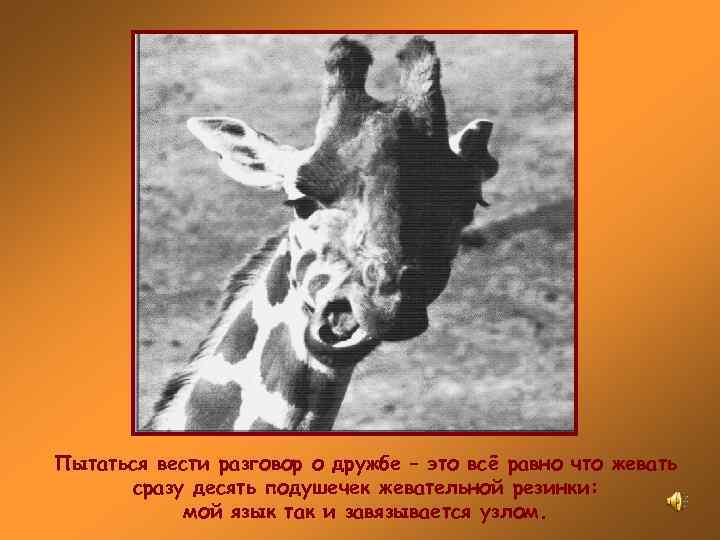 Пытаться вести разговор о дружбе – это всё равно что жевать  сразу десять