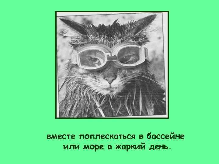 вместе поплескаться в бассейне  или море в жаркий день. 