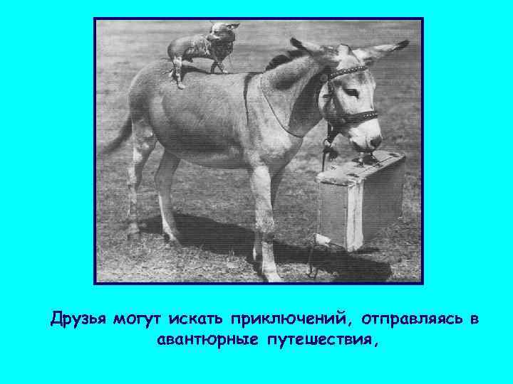 Друзья могут искать приключений, отправляясь в  авантюрные путешествия, 