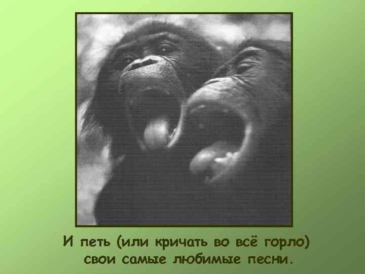 И петь (или кричать во всё горло)  свои самые любимые песни. 