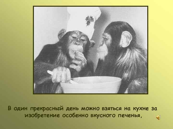 В один прекрасный день можно взяться на кухне за изобретение особенно вкусного печенья, 