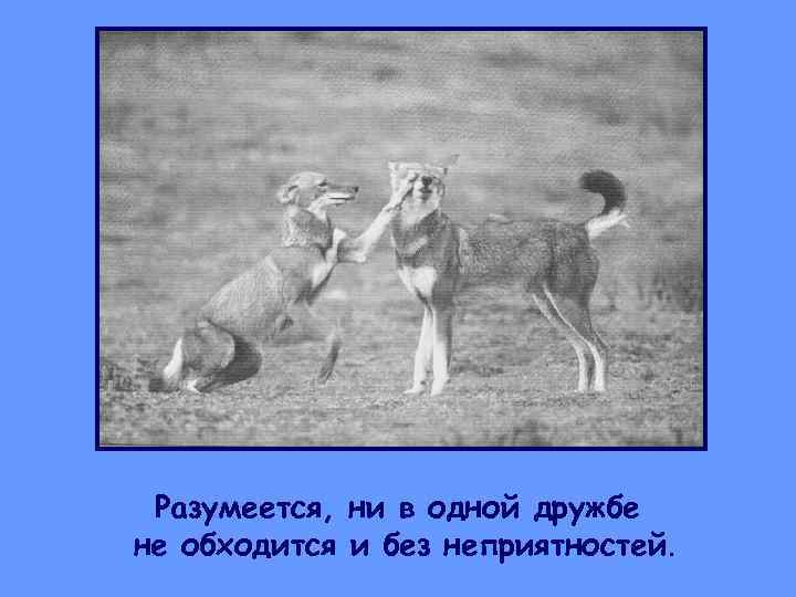  Разумеется, ни в одной дружбе не обходится и без неприятностей. 