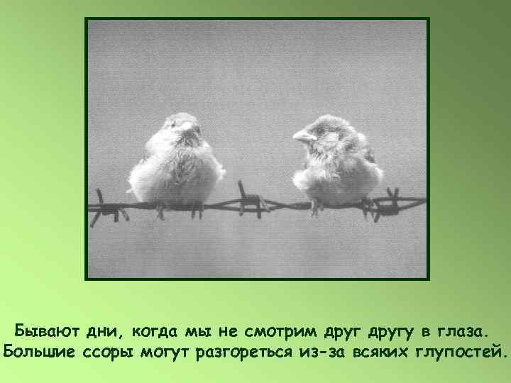  Бывают дни, когда мы не смотрим другу в глаза. Большие ссоры могут разгореться