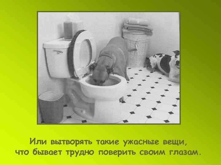   Или вытворять такие ужасные вещи, что бывает трудно поверить своим глазам. 