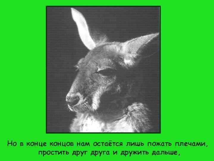 Но в конце концов нам остаётся лишь пожать плечами,   простить друга и