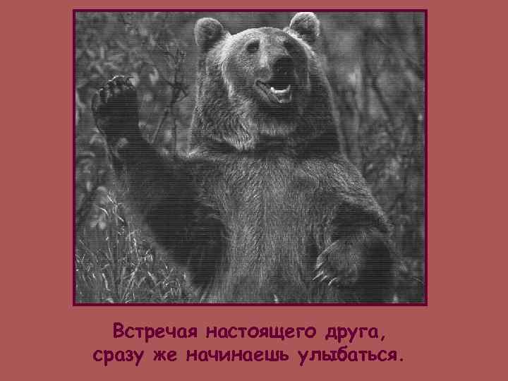  Встречая настоящего друга, сразу же начинаешь улыбаться. 