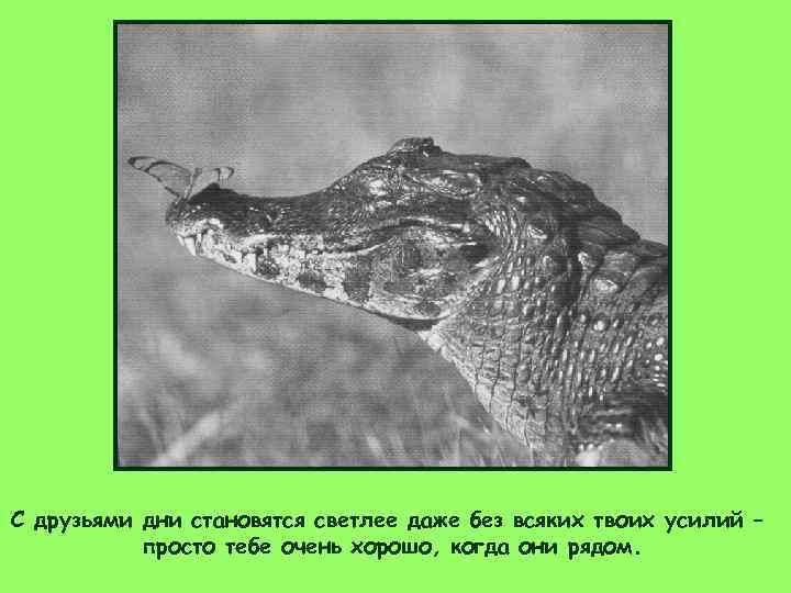 С друзьями дни становятся светлее даже без всяких твоих усилий –  просто тебе