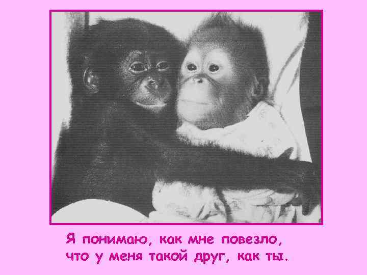 Я понимаю, как мне повезло, что у меня такой друг, как ты. 