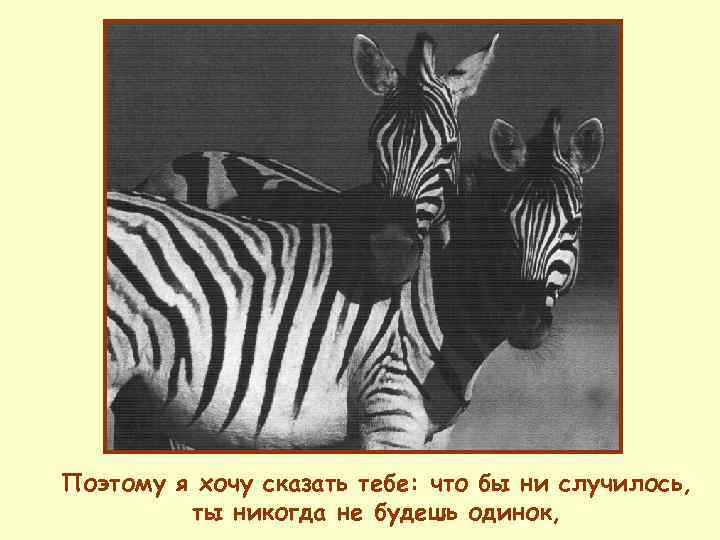 Поэтому я хочу сказать тебе: что бы ни случилось,  ты никогда не будешь