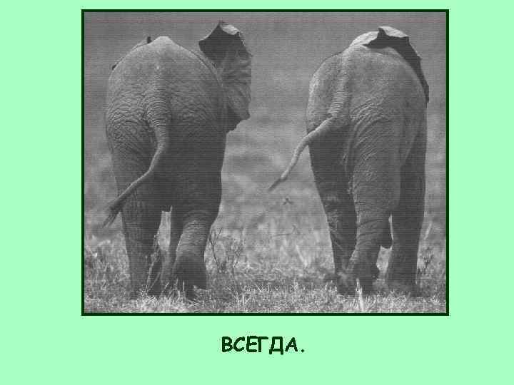 ВСЕГДА. 