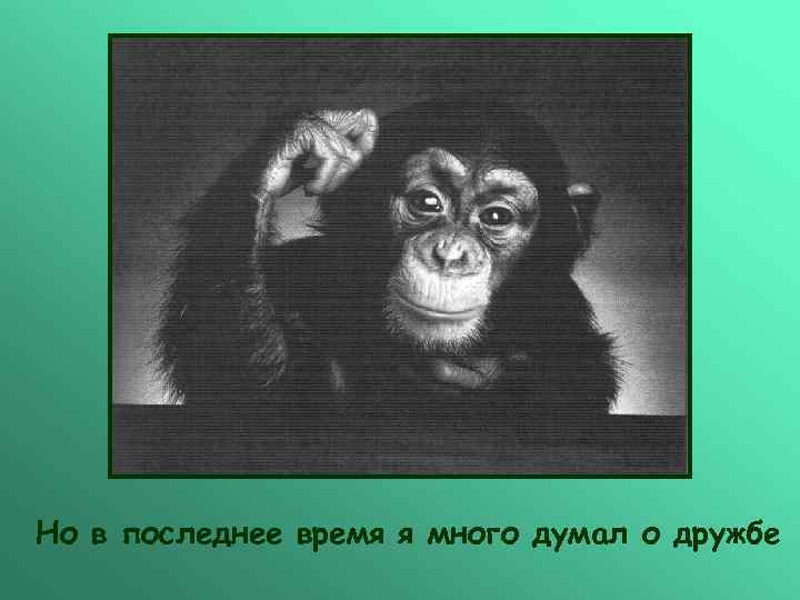 Но в последнее время я много думал о дружбе 