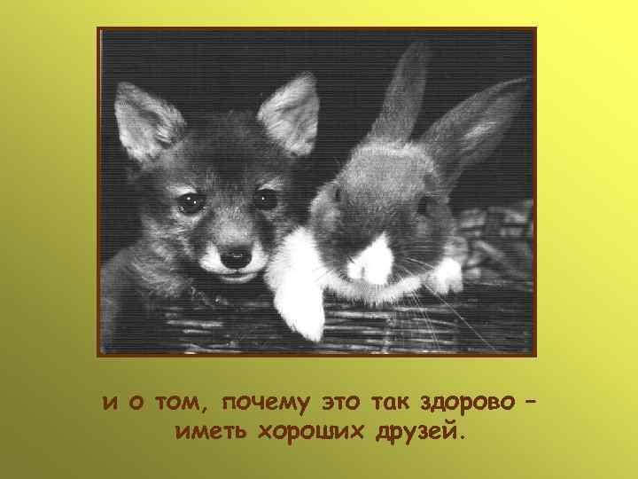 и о том, почему это так здорово –  иметь хороших друзей. 