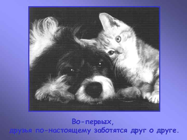     Во-первых, друзья по-настоящему заботятся друг о друге. 