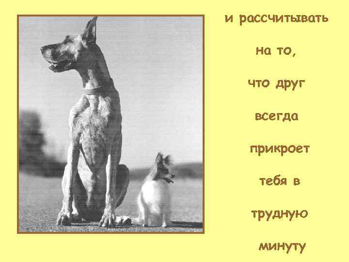 и рассчитывать на то, что друг всегда прикроет тебя в трудную минуту 