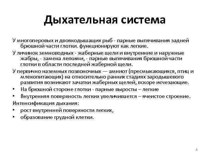   Дыхательная система У многоперовых и двоякодышащих рыб - парные выпячивания задней 