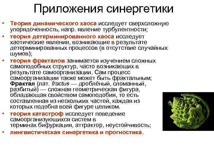    Приложения синергетики  • Теория динамического хаоса исследует сверхсложную  упорядоченность,