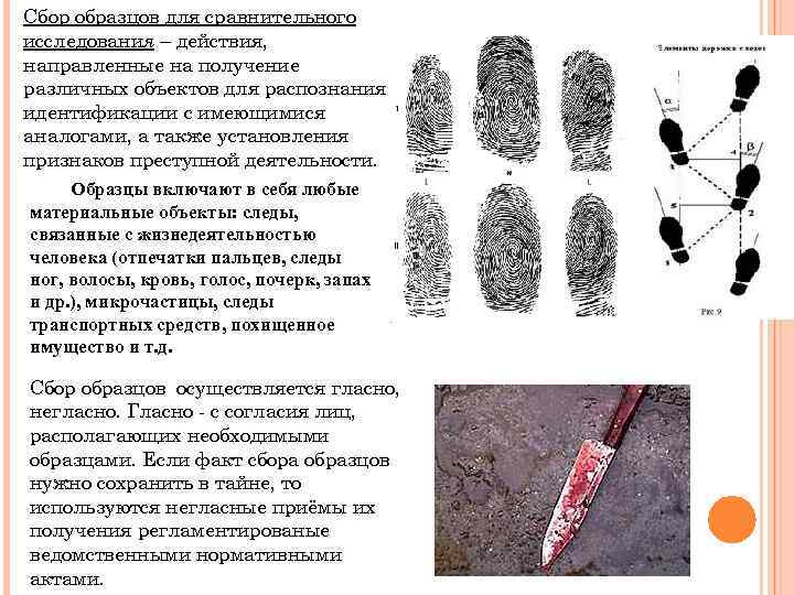 Сбор образцов для сравнительного исследования – действия, направленные на получение различных объектов для распознания