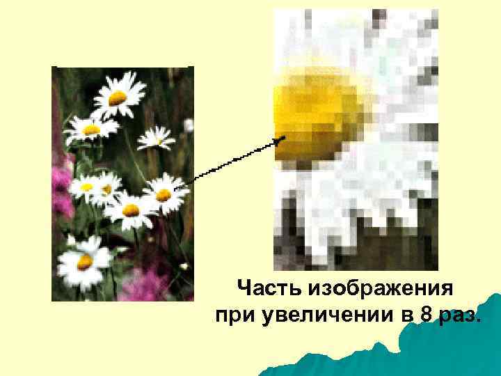  Часть изображения при увеличении в 8 раз. 