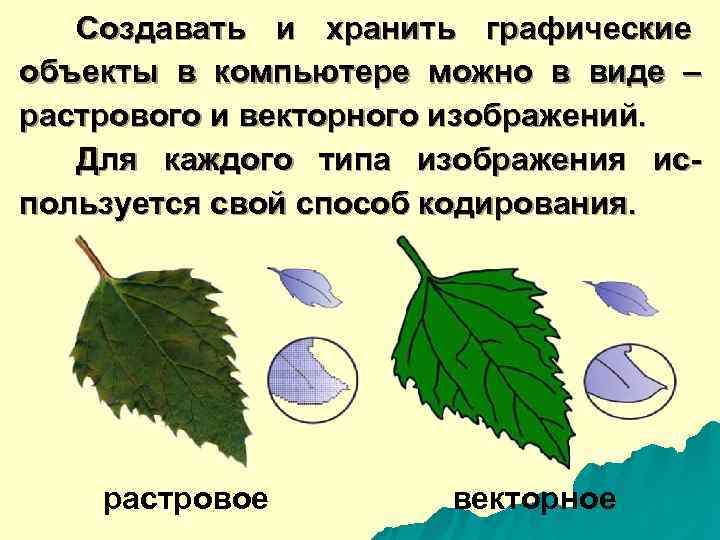   Создавать и хранить графические объекты в компьютере можно в виде – растрового