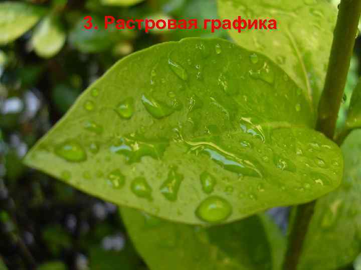 3. Растровая графика 