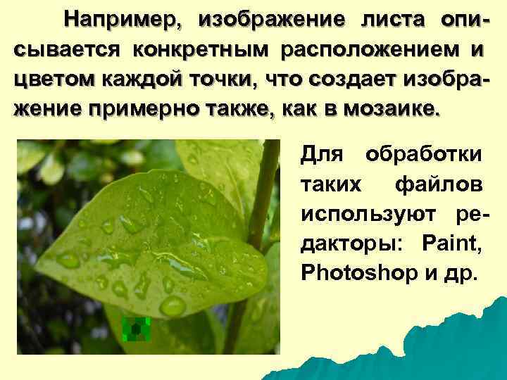   Например,  изображение листа опи- сывается конкретным расположением и цветом каждой точки,