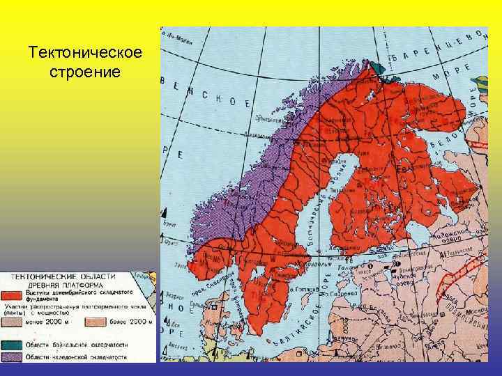 Тектоническое  строение 