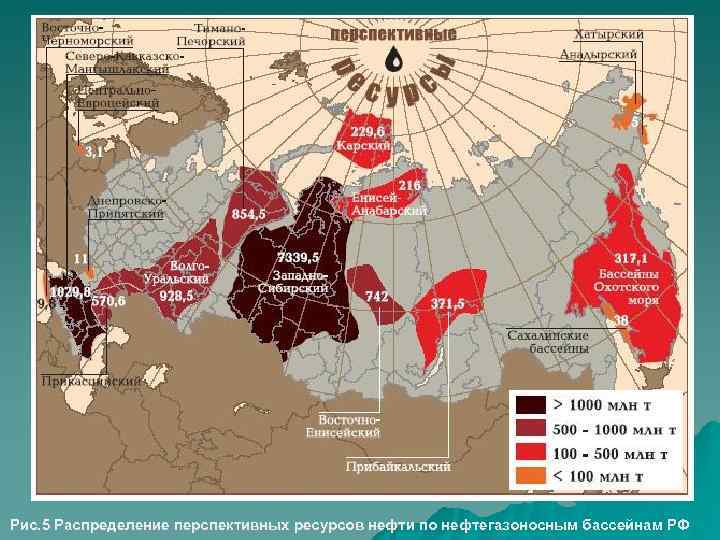Рис. 5 Распределение перспективных ресурсов нефти по нефтегазоносным бассейнам РФ  